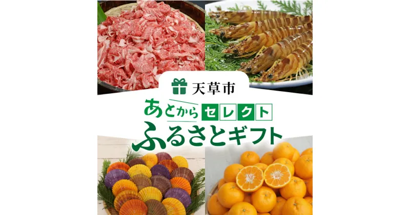 【ふるさと納税】 あとからセレクト 【ふるさとギフト】 あとから選べる 肉 牛肉 黒毛和牛 定期便 魚 海鮮 ブリ 海老 車海老 干物 米 柑橘 ポンカン ふぐ 鶏肉 天草大王 パール アクセサリー あとから 選べる 天草市 熊本県