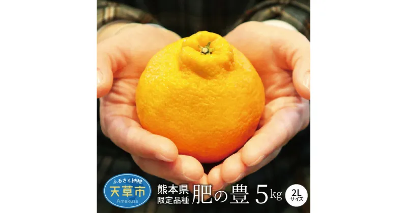 【ふるさと納税】肥の豊 約 5kg 2Lサイズ 天草産 熊本限定品種 収穫後熟成 サイズ混合 瑞々しい果汁 不知火 オリジナル 柑橘 果物 フルーツ 食品 オレンジファーム本田 熊本県 天草市 お取り寄せ お取り寄せグルメ 送料無料【先行受付】