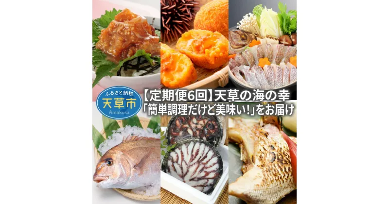 【ふるさと納税】海の幸 定期便 6回 漁師の沖めし 70g × 8袋 ウニコロッケ 8個 たこわさび 100g 鯛めし たこめし セット 真鯛 お刺身 425g やわらか地だこセット 真鯛塩カマボリュームセット 1kg 詰め合わせ 簡単調理 時短 熊本県 天草市 お取り寄せグルメ 送料無料