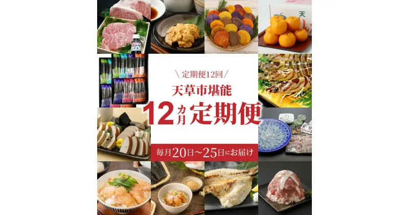 【ふるさと納税】定期便 12回 天草堪能セット 12ヶ月定期便 厳選 ウニ ポンカン 緋扇貝 蒲鉾 真鯛 サーロインステーキ 干物 プレミアムポーク こま切れ トラフグ フグ 活き車えび 牛肉 豚肉 魚介類 フルーツ 柑橘 菓子類 お茶漬け 詰め合わせ 天草 お取り寄せ 送料無料