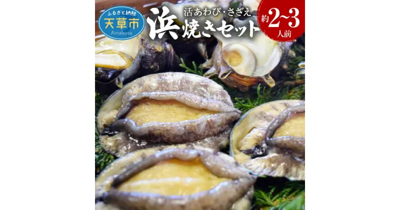 【ふるさと納税】【着日指定】 活きあわび アワビ さざえ 浜焼き セット 約820g 2〜3人前 魚介類 貝類 海の幸 活きたまま 旨味 格別 バーベキュー BBQ 刺身 おどり焼き バター焼き 天ぷら 海鮮 新鮮 海の幸 熊本県 天草市 お取り寄せ グルメ 送料無料