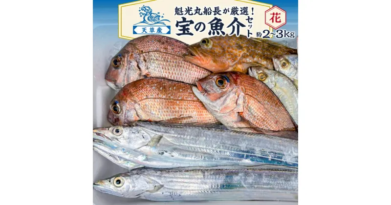 【ふるさと納税】【着日指定】 魚介 セット 約 2kg 〜 3kg タイ アジ スズキ 鮮魚 海鮮 詰め合わせ 海の幸 旬 冷蔵 鮮度抜群 産地直送 魁光丸 船長 厳選 九州 熊本県 天草産 食べ物 食品 お取り寄せ 送料無料