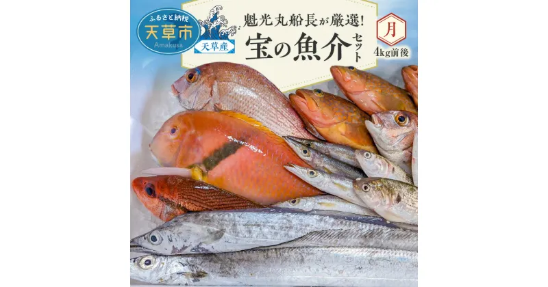 【ふるさと納税】【着日指定】 魚介 セット 4kg 前後 天然 タイ アジ ウマズラハギ 鮮魚 海鮮 詰め合わせ 海の幸 旬 冷蔵 鮮度抜群 産地直送 魁光丸 船長 厳選 九州 熊本県 天草産 食べ物 食品 お取り寄せ 送料無料