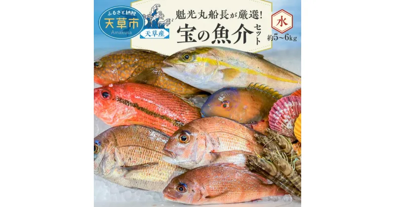 【ふるさと納税】【着日指定】 魚介 セット 約 5kg 〜 6kg 天然 タイ ウマズラハギ オオメダイ 鮮魚 海鮮 詰め合わせ 海の幸 旬 冷蔵 鮮度抜群 産地直送 魁光丸 船長 厳選 九州 熊本県 天草産 食べ物 食品 お取り寄せ 送料無料