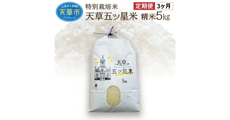 【ふるさと納税】定期便 お米 5kg 3回 五つ星米 精米 コシヒカリ わさもん うるち米 特別栽培米 単一原料米 国産