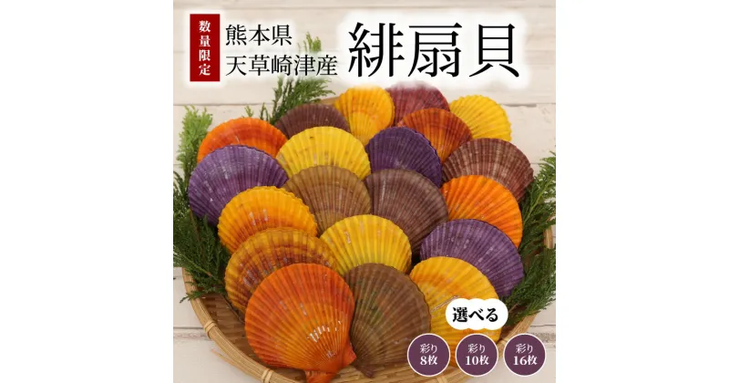 【ふるさと納税】【着日指定】数量限定 魚貝類 生食 可 緋扇貝 選べる 内容量 8~16枚 彩り ホタテ 貝殻付 無着色 多色多彩 装飾品【先行受付】