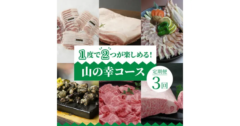 【ふるさと納税】定期便 3回 山の幸 コース 豚肉 鶏肉 牛肉 黒毛和牛 地鶏 天草大王 プレミアムポーク 隔月配送 すき焼き 炭火焼 ステーキ たれ 冷凍 セット 天草 満喫 グルメ 熊本県 産地直送 お取り寄せグルメ 送料無料