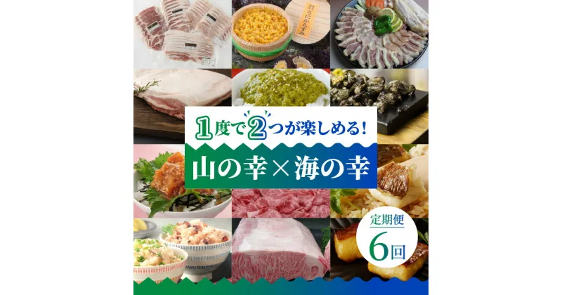 【ふるさと納税】定期便 6回 山の幸 海の幸 豚肉 うにからすみ 生めかぶ 天草大王 炭火焼 地鶏 鯛 鯛めし たこめし すき焼き肉 ロース サーロイン ステーキ たれ付き 真鯛 切り身 西京漬け 食品 天草 お取り寄せ お取り寄せグルメ 食べ物 送料無料 ご飯のお供 冷凍