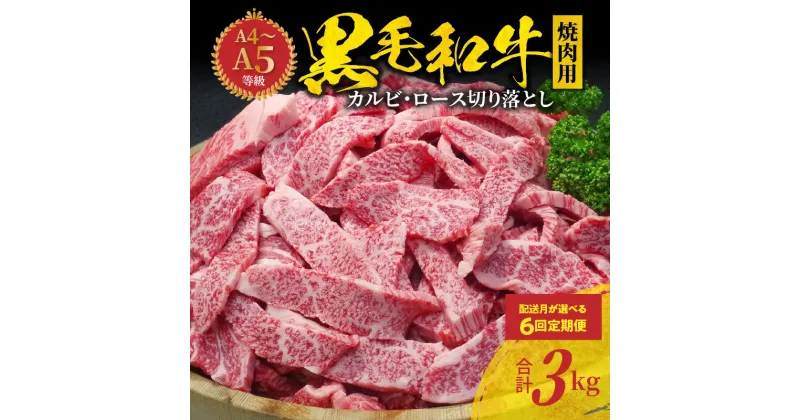 【ふるさと納税】 【定期便6回】 黒毛和牛 焼肉 ロース カルビ 切り落とし 500g×6回 計3.0kg ミシュランビブグルマン獲得 A4 〜 A5 牛肉 肉 グルメ 霜降り BBQ 冷凍 定期便 6ヶ月 田中畜産 熊本県 天草市 お取り寄せ お取り寄せグルメ 送料無料