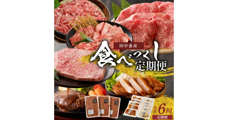 【ふるさと納税】定期便 6回 肉 田中畜産 食べつくし 焼き肉用 ロース カルビ 切り落とし 500g 豚ロース 味噌漬け 白味噌 赤味噌 各5枚 サーロインステーキ 300g タレ付き すき焼き用 500g ハンバーグ 1.5kg 黒毛和牛 1kg 冷凍 牛肉 たなか畜産 熊本県 天草市 送料無料