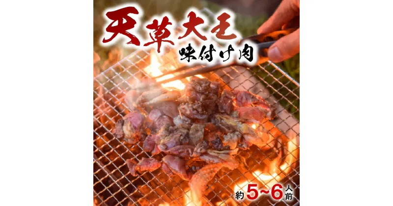 【ふるさと納税】鶏肉 味付き 5〜6人前 炭火焼 バーベキュー 焼肉 もも肉 むね肉 各200g × 2袋 天草大王 地鶏 備長炭 天草の塩 簡単調理 おうちごはん 冷凍ギフト 熊本県 天草 お取り寄せ お取り寄グルメ 国産 食品 冷凍 送料無料