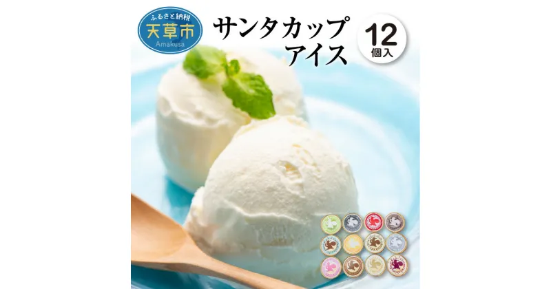 【ふるさと納税】アイス サンタ カップ 12種類 12個 スイーツ 塩 バニラ チョコ ストロベリー 抹茶 チョコミント コーヒー マンゴー 黒ゴマ ラムレーズン りんご シャーベット サンタのアイス工場 送料無料