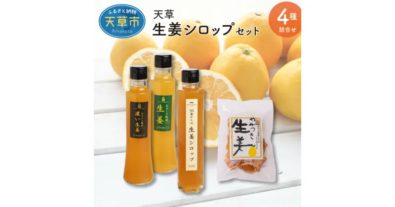 【ふるさと納税】生姜 シロップ セット 晩柑 柑橘 やみつき 炭酸 健康 栄養 無添加 ギフトお土産 手土産 お取り寄せ ジンジャエール 割り材 生姜 ジンジャー アイス ホット ホットドリンク 添加物不使用 手作り 送料無料