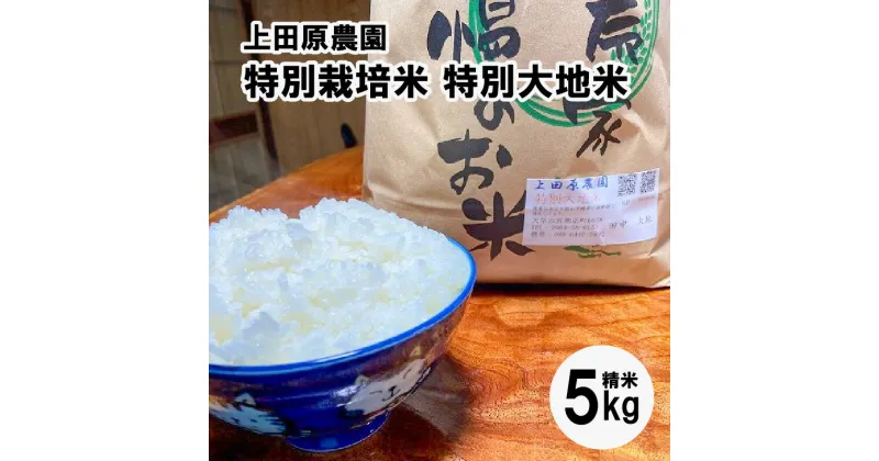 【ふるさと納税】令和6年産 5kg コシヒカリ ヒノヒカリ 特別栽培米 特別大地米 精米 白米 ごはん おにぎり 米作り 熊本県 天草 お取り寄せ 食品 九州 故郷の味 常温 送料無料