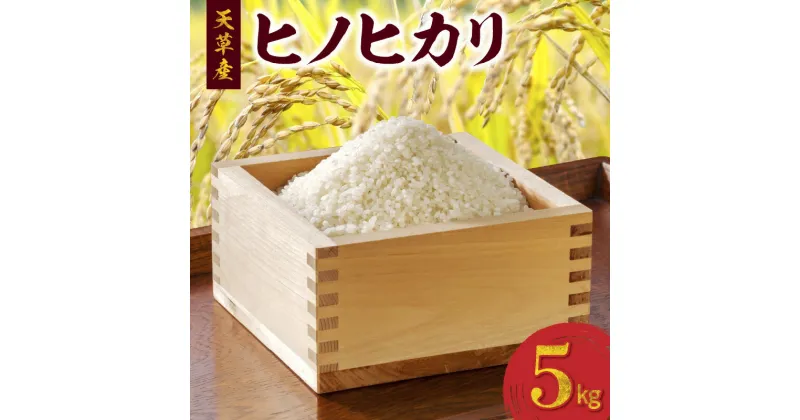 【ふるさと納税】令和6年産 ヒノヒカリ 5kg 精米 単一原料米 白米 ごはん おにぎり 米作り 熊本県 天草 お取り寄せ 食品 九州 送料無料 故郷の味 常温