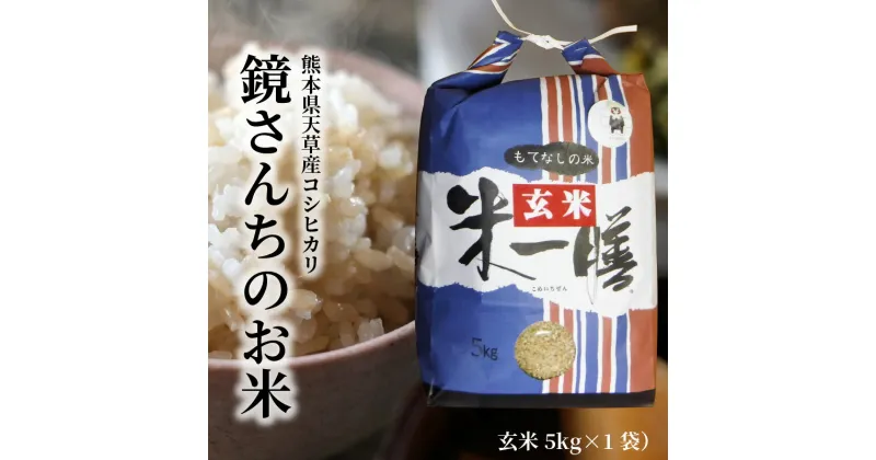 【ふるさと納税】令和6年産 コシヒカリ 5kg 玄米 単一原料米 ごはん 米 おにぎり 米作り 熊本県 天草 お取り寄せ 食品 九州 故郷の味 常温 送料無料