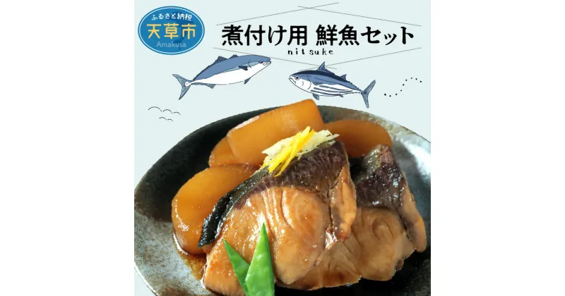 【ふるさと納税】【着日指定】 鮮魚 セット 煮付け 旬 お魚屋さん 厳選 1.3〜1.5kg 選りすぐり 簡単調理 冷蔵 チルド 鮮度抜群 魚介 お魚屋さん グルメ 海鮮 新鮮 天草産 熊本県 九州 産地直送 お取り寄せグルメ 送料無料