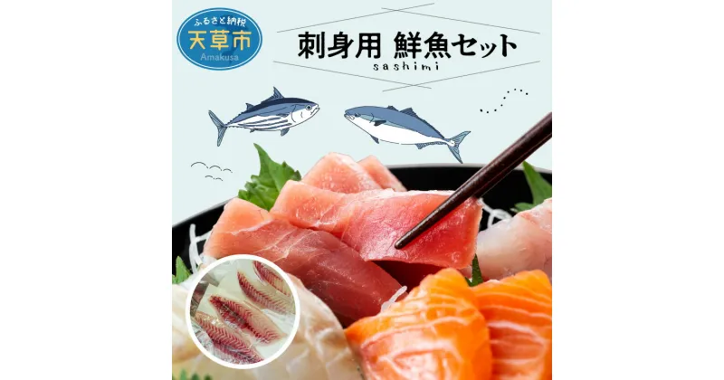 【ふるさと納税】【着日指定】 鮮魚 セット 詰め合わせ 刺身 海鮮丼 手巻き寿司 旬 厳選 1.3〜1.5kg 選りすぐり お楽しみ 柵 冷蔵 チルド 鮮度抜群 魚介 お魚屋さん グルメ 海鮮 新鮮 天草産 熊本県 九州 産地直送 お取り寄せグルメ 送料無料