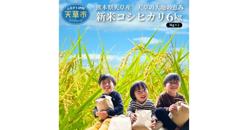 【ふるさと納税】新米 令和6年産 コシヒカリ 6kg 大地の恵み 精米 3kg 2袋 単一原料米 国産 米 お米 白米 ごはん 熊本県 天草 お取り寄せ 食品 九州 ふっくら もっちり 送料無料