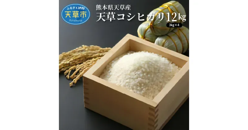 【ふるさと納税】新米 令和6年産 コシヒカリ 12kg 精米 3kg 4袋 単一原料米 国産 米 お米 白米 ごはん 熊本県 天草 お取り寄せ 食品 九州 送料無料