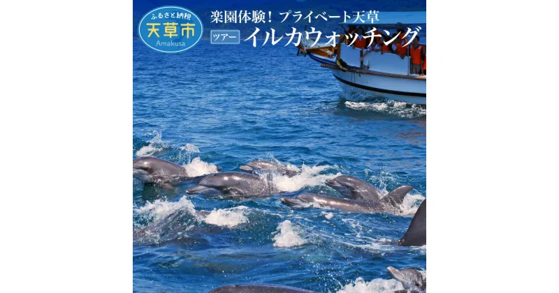 【ふるさと納税】旅行 天草 プライベート ツアー 2名様 イルカウォッチング 体験 国内 観光 高級リゾート ホテルアレグリアガーデンズ 最上階 スイートルーム 海の幸 山の幸 クルーザー ジャンボタクシー 九州 熊本 貸し切り 送料無料