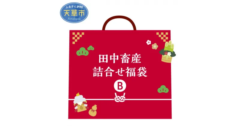 【ふるさと納税】 福袋 田中畜産 詰合せ 福袋B 黒毛和牛 肉 肉まん 豚ロース 味噌漬け A5ランク 霜降り 天草産黒毛和牛 ハンバーグ すき焼き 黒牛まん もちもち 冷凍 熊本県 天草 お取り寄せ お取り寄せグルメ 自社牧場 送料無料 国産 食品 食べ物