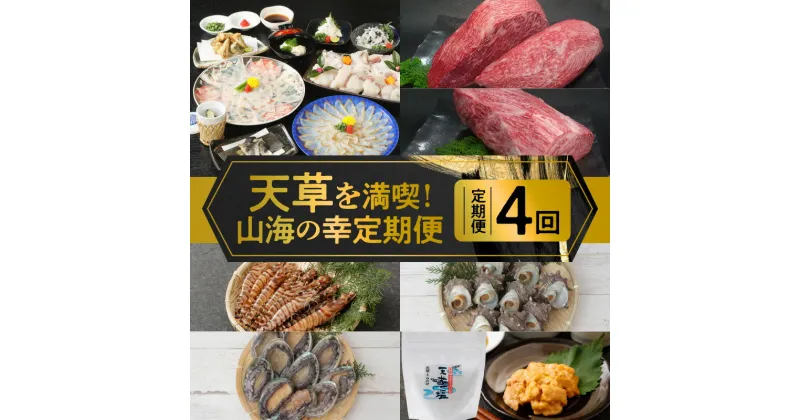 【ふるさと納税】定期便 4回 牛肉 黒毛和牛 霜降りモモ 3.5kg ふぐ とらふぐ サーロイン ブロック肉 3kg ステーキ 車海老 あわび サザエ 殻出し 生うに 天草 天然塩 旬彩セット お取り寄せ お取り寄せグルメ 送料無料