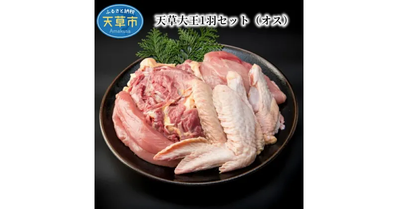 【ふるさと納税】鶏肉 1羽 セット 1.7kg 前後 もも肉 むね肉 ササミ 手羽先 手羽元 地鶏 天草大王 オス 冷凍 プロトン おうちごはん 冷凍ギフト 熊本県 天草 お取り寄せ お取り寄せグルメ 国産 食品 送料無料