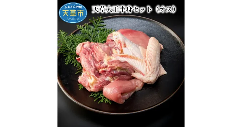 【ふるさと納税】鶏肉 半身 セット 800g 前後 もも肉 むね肉 ササミ 手羽先 手羽元 地鶏 天草大王 オス 冷凍 プロトン おうちごはん 冷凍ギフト 熊本県 天草 お取り寄せ お取り寄せグルメ 国産 食品 送料無料