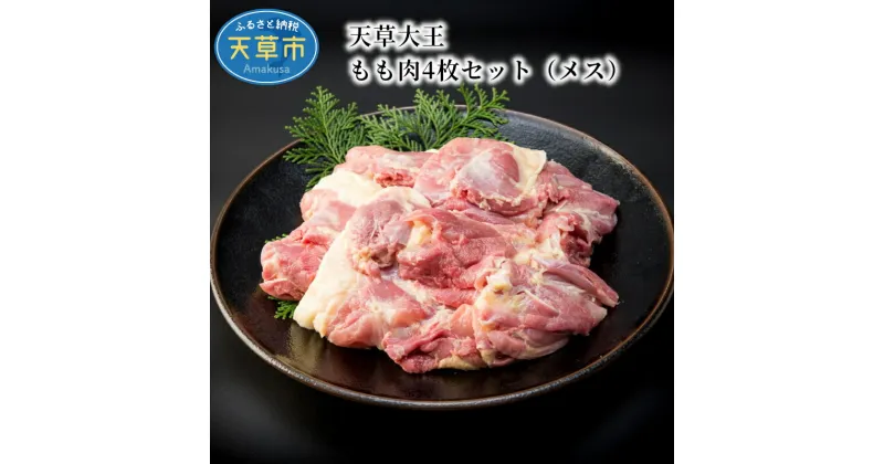 【ふるさと納税】鶏肉 もも肉 4枚 セット メス 1kg 前後 地鶏 天草大王 旨味 ジューシー プロトン 凍結 おうちごはん 冷凍ギフト 熊本県 天草 お取り寄せ お取り寄せグルメ 国産 食品 送料無料