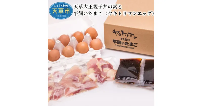 【ふるさと納税】親子丼の素 170g×3食 平飼い たまご 10個 セット 小分け 地鶏 真空包装 天草大王 ヤキトリマンエッグ 卵かけご飯 おうちごはん 熊本県 天草 お取り寄せ お取り寄せグルメ 国産 食品 送料無料