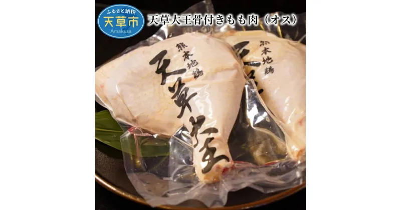 【ふるさと納税】鶏肉 約 1kg 骨付き もも肉 2本 地鶏 天草大王 オス 旨味 たっぷり ジューシー プロトン 凍結 クリスマス パーティー BBQ イベント 熊本県 天草 お取り寄せ お取り寄せグルメ 国産 食品 冷凍 送料無料