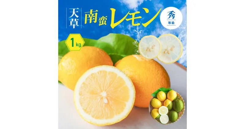 【ふるさと納税】レモン 天草南蛮レモン 等級 秀 1kg フルーツ 露地栽培 お陽さま 光 たっぷり 浴びた 果皮ごと食べられる グリーンレモン 完熟レモン イエローレモン 天草市 下浦町 国産 お取り寄せ 送料無料