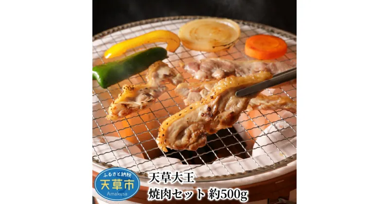 【ふるさと納税】肉 鶏 鶏肉 焼肉 セット 約 500g モモ肉 むね肉 国産 日本最大級の地鶏 幻の地鶏 天草大王 食品 熊本 天草 歯ごたえ うま味 香り 筋肉質 お取り寄せ お取り寄せグルメ 真空パック 冷凍 送料無料