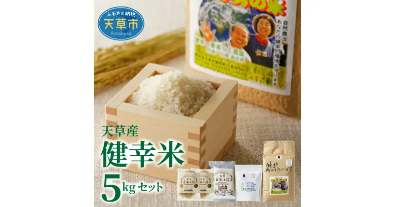 【ふるさと納税】 令和6年産 健幸米セット 精米 5kg コシヒカリ グルテンフリー 玄米麺 焙煎玄米めん 焙煎米粉 赤米 黒米 玄米 スティック 自然栽培米 単一原料米 熊本県 天草 送料無料