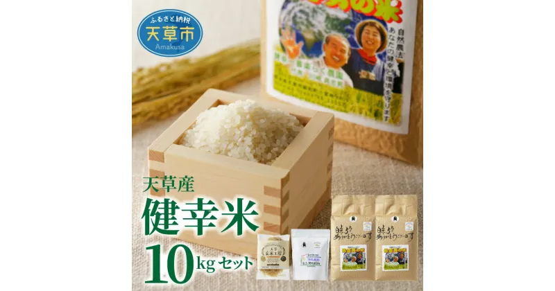 【ふるさと納税】 令和6年産 健幸米セット 精米 5kg × 2袋 合計 10kg コシヒカリ 焙煎玄米めん 玄米麺 グルテンフリー 焙煎米粉 自然栽培米 単一原料米 お取り寄せ 熊本県 天草 送料無料