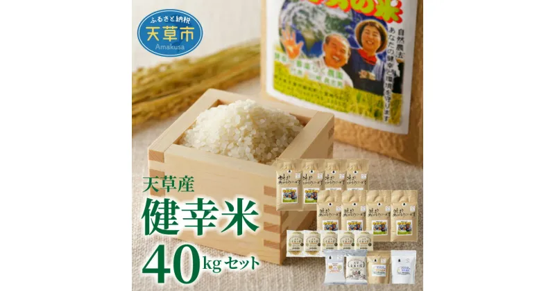 【ふるさと納税】 令和6年産 健幸米 セット 精米 5kg × 4袋 玄米 5kg×4袋 コシヒカリ 焙煎玄米めん 玄米麺 グルテンフリー 玄米ポンせん 赤米 黒米 玄米 スティック 焙煎米粉 焙煎玄米粉 自然栽培米 単一原料米 熊本県 天草 送料無料