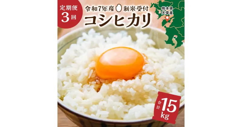 【ふるさと納税】米 定期便 3回 早期 新米 5kg コシヒカリ 8月 10月 12月 配送 熊本県 天草産 下浦 とれたて お米 弁当 おにぎり ご飯 食品 食べ物 常温 国産 お取り寄せ 九州 送料無料