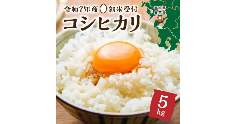 【ふるさと納税】米 早期 新米 5kg コシヒカリ 令和7年産 8月 配送 熊本県 天草産 下浦 とれたて お米 弁当 おにぎり ご飯 食品 食べ物 常温 国産 お取り寄せ 九州 送料無料