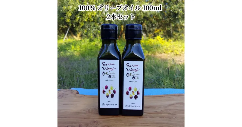 【ふるさと納税】オリーブオイル 100％オリーブオイル 100ml 91g 2本 セット オリーブ栽培 マイルド やさしい フルーティー 調味料 国産 日本製 美味しい サラダ 和食と相性がいい やまねこオリーブ お取り寄せ オイル 天草産 熊本県 送料無料