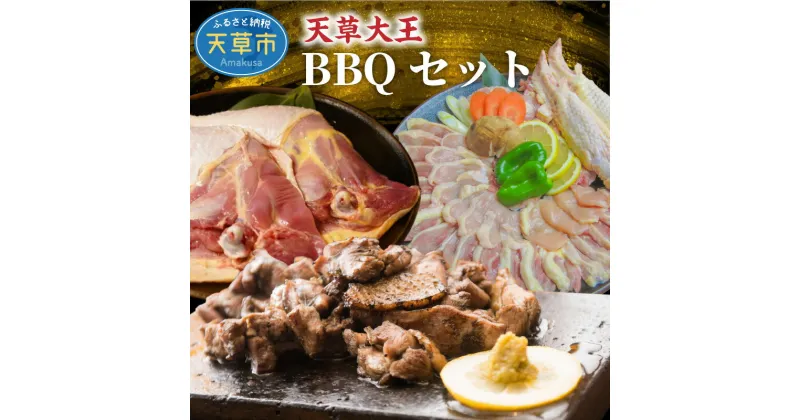 【ふるさと納税】鶏肉 味付き 天草大王 BBQセット 炭火焼 バーベキュー 焼肉 もも肉 むね肉 骨付きもも肉 地鶏 備長炭 プロトン凍結 熊本県 天草 お取り寄せ お取り寄グルメ 国産 冷凍 送料無料