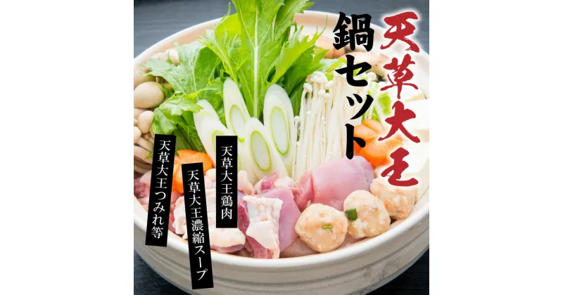 【ふるさと納税】天草の味 まるごと 天草大王 水炊き 鶏肉 濃縮スープ つみれ 麺 柚子胡椒 セット 幻 ブランド鶏 国内最大級 地鶏 押し包丁麺 鶏ガラ 自家製スープ 冷凍発送 鍋 お取り寄せ お取り寄せグルメ 熊本県 天草市 送料無料