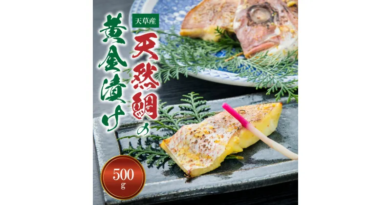 【ふるさと納税】天然鯛 黄金漬け 500g オリジナル 味噌漬け 鯛 食欲そそる ごはんのお供 おつまみ 加工品 海鮮 魚介類 天草産 食品 熊本県 天草市 アマレイ お取り寄せ お取り寄せグルメ 冷凍 送料無料