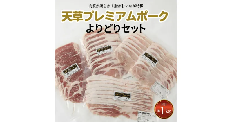 【ふるさと納税】豚肉 セット 約 1kg 豚ロース バラ 肩ロース しゃぶしゃぶ 生姜焼き 産地直送 国産 オリジナルブランド豚 プレミアムポーク 天草市 熊本県 柔らか あっさり 食品 お取り寄せ お取り寄せグルメ 送料無料