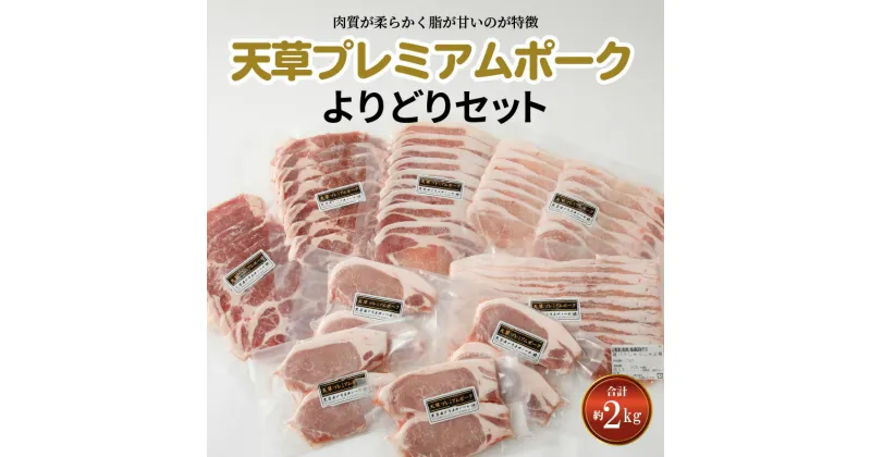 【ふるさと納税】豚肉 セット 約 2kg 豚ロース バラ 肩ロース 焼肉 しゃぶしゃぶ 生姜焼き とんかつ 産地直送 国産 プレミアムポーク 天草市 熊本県 柔らか あっさり 食品 お取り寄せ お取り寄せグルメ 送料無料