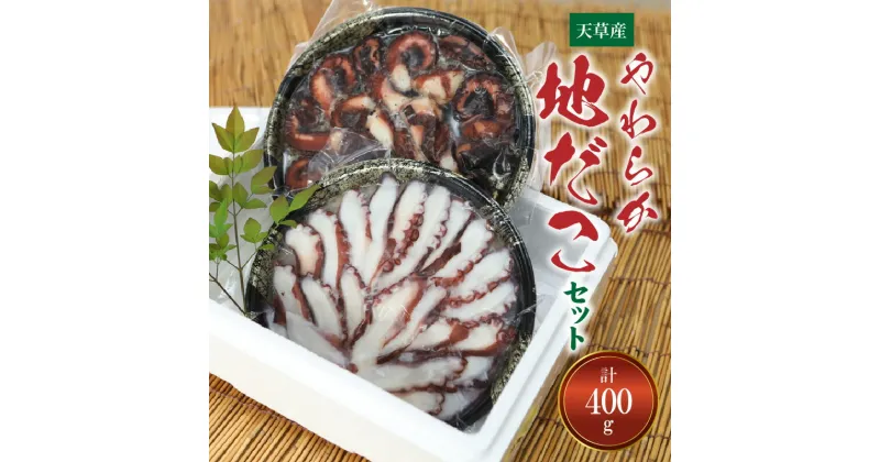 【ふるさと納税】やわらか 地だこ セット お刺身 たこの柔らか煮 各 200g 計 400g 天草産 たこ ボイル アレンジ 酢の物 カルパッチョ 九州 熊本県 天草市 お取り寄せ お取り寄せグルメ 冷凍 送料無料