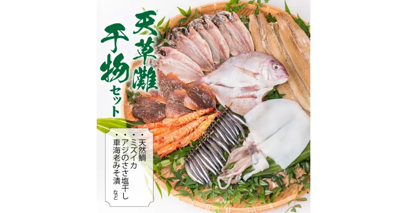 【ふるさと納税】天草灘 干物 セット 天然鯛ささ塩干し ミズイカささ塩干し アジのささ塩干し 車海老味噌漬け アジささ塩干し アジ味醂干し 太刀魚味醂干し キビナゴ丸干し 海の幸 詰め合わせ 熊本県 天草市 アマレイ お取り寄せ 送料無料