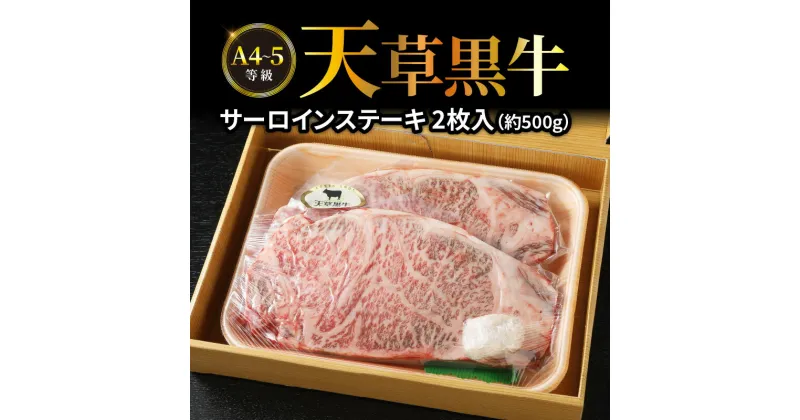 【ふるさと納税】牛肉 天草黒牛 サーロイン ステーキ 2枚入 約 500g A4 ～ 5等級 黒毛和牛 ブランド牛 バーベキュー 和牛 国産牛 肉 食品 食べ物 寺澤精肉店 九州 熊本県 天草市 お取り寄せ お取り寄せグルメ 冷凍配送 送料無料