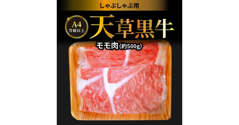 【ふるさと納税】牛肉 天草黒牛 しゃぶしゃぶ 用 もも肉 約 500g A4 等級以上 黒毛和牛 ブランド牛 和牛 国産牛 肉 食品 食べ物 寺澤精肉店 九州 熊本県 天草市 お取り寄せ お取り寄せグルメ 冷凍配送 送料無料