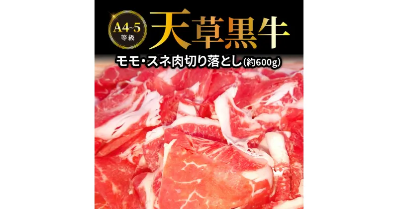 【ふるさと納税】牛肉 天草黒牛 モモ スネ肉 切り落とし 約 600g A4 ～ 5等級 黒毛和牛 ブランド牛 和牛 国産牛 肉 食品 食べ物 寺澤精肉店 九州 熊本県 天草市 お取り寄せ お取り寄せグルメ 冷凍配送 送料無料